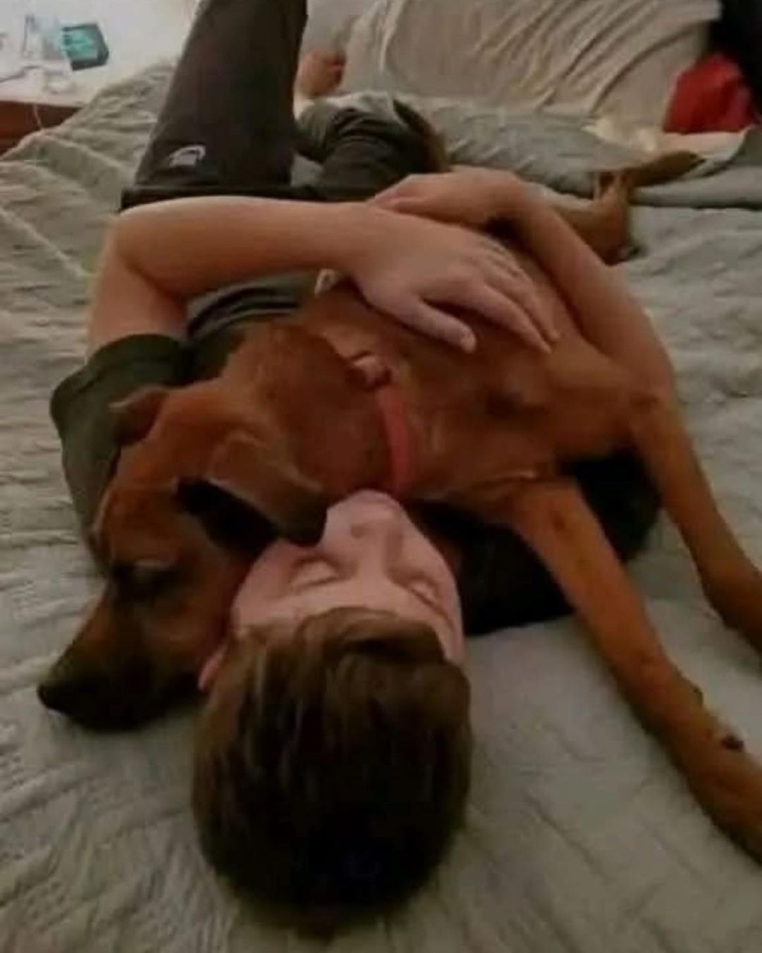 From Crates to Couches: A Dog’s Second Chance.