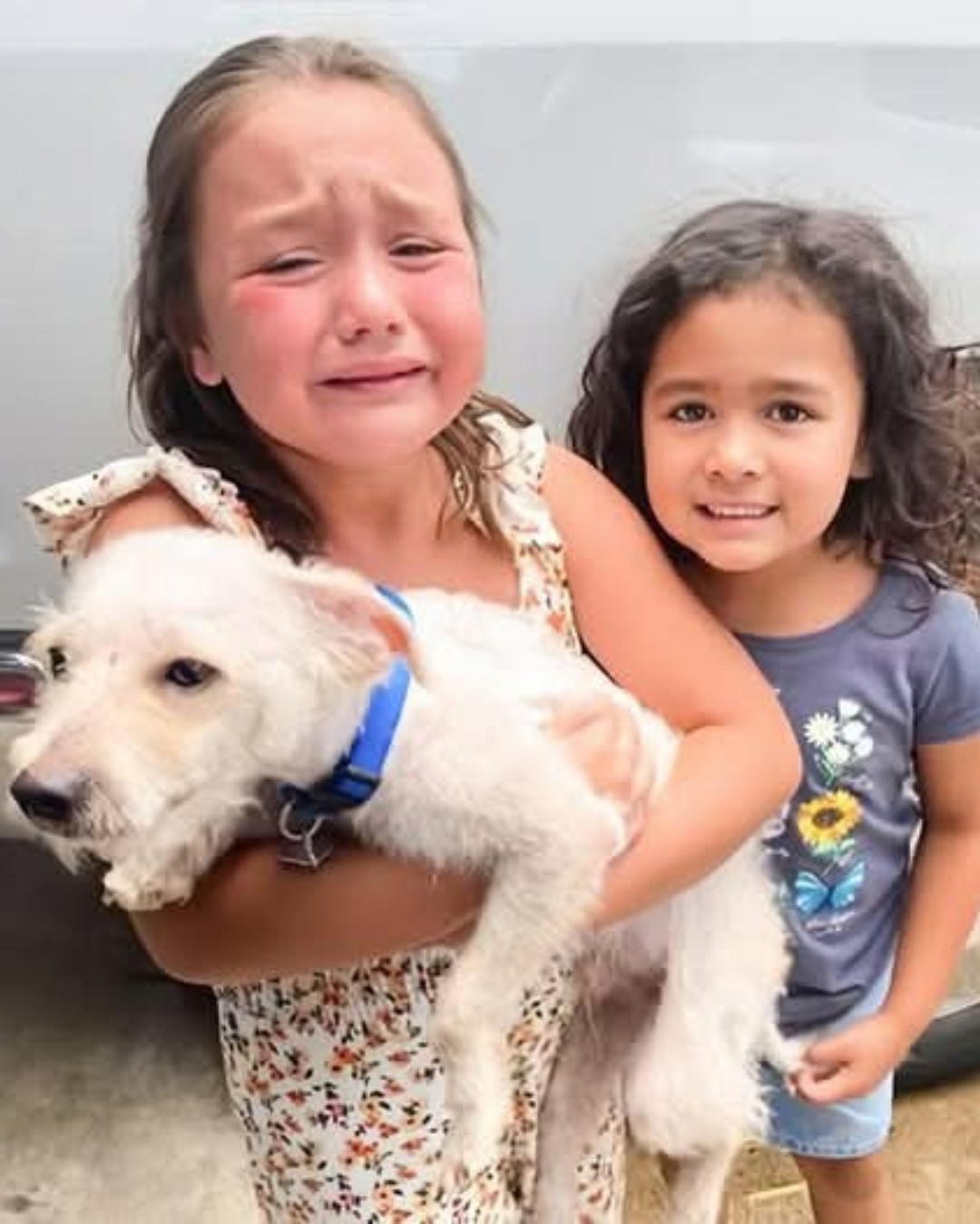 Emma and Molly: The Day a Prayer Was Answered