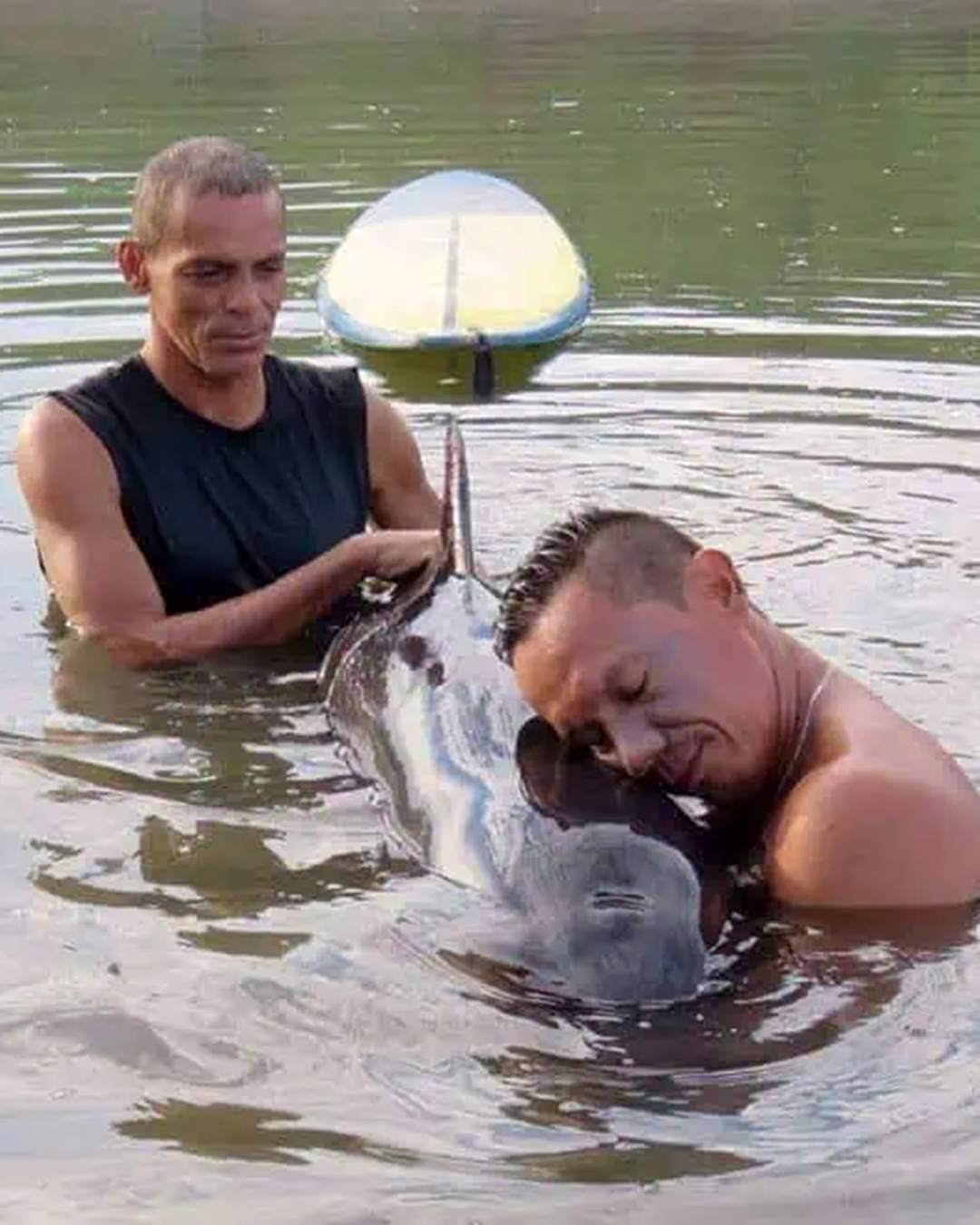 Surfers Trade Waves for a Life-Saving Mission: Rescuing a Stranded Baby Whale.