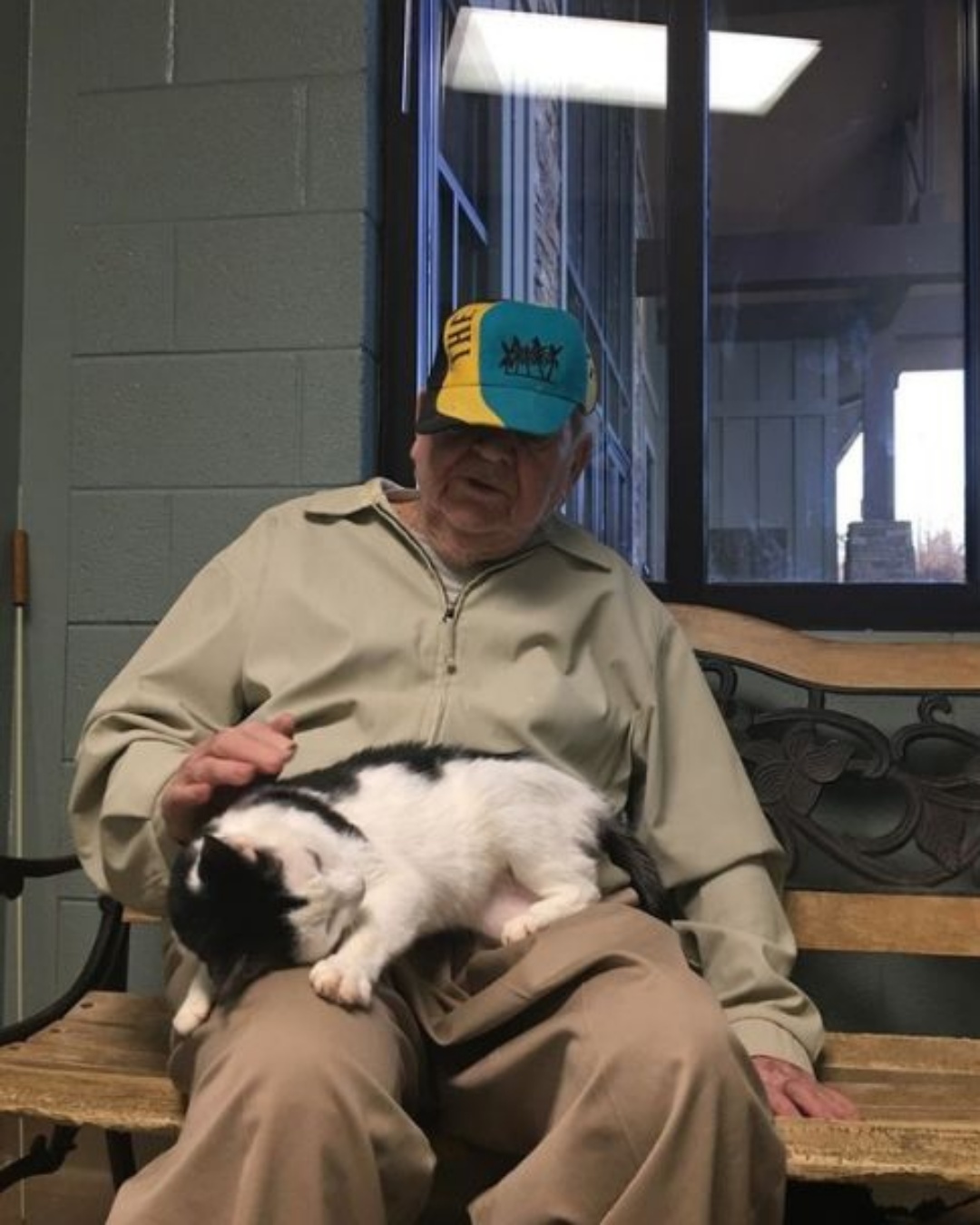 “My Boy, Always Waiting” — The Cat Who Never Forgot