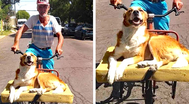 Love on Two Wheels: A Man, His Bike, and His Best Friend